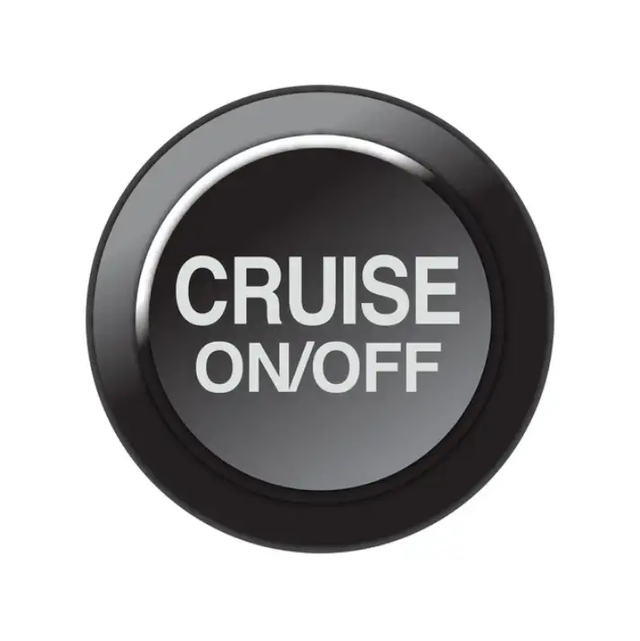 Bouton de Commande LINK KEYPAD - CRUISE ON/OFF