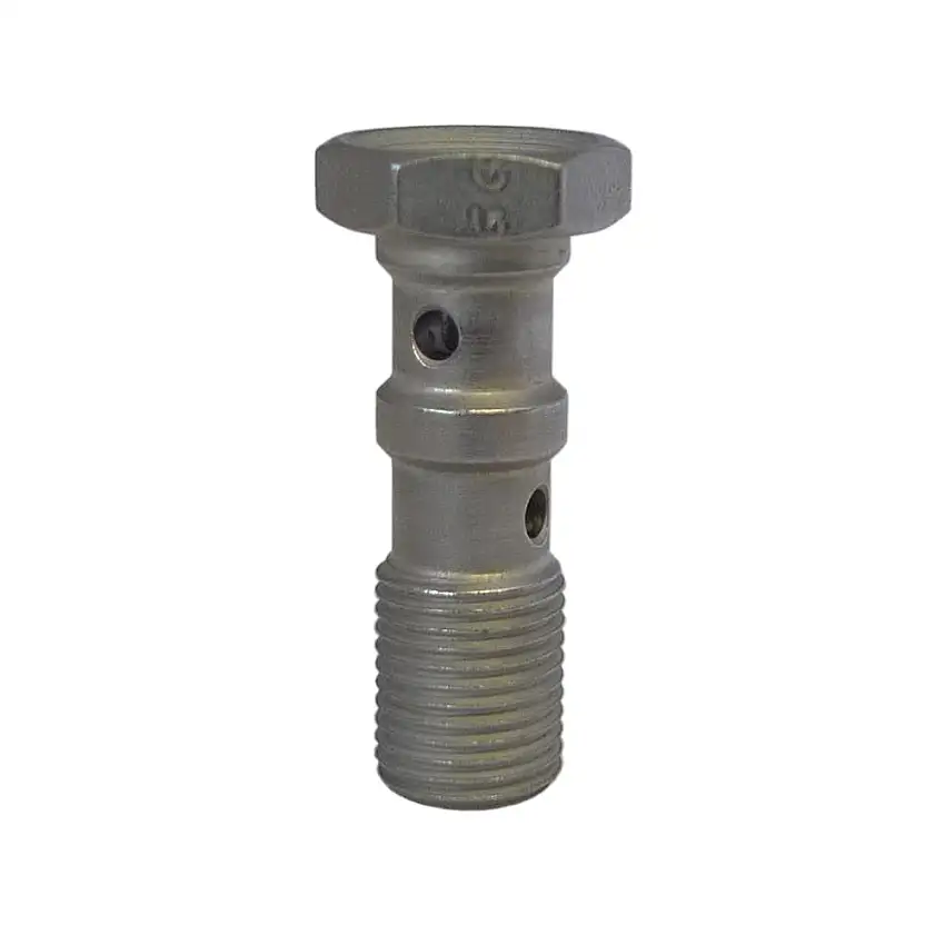 Double boulon de banjo de Goodridge 1/8BSP en acier doux