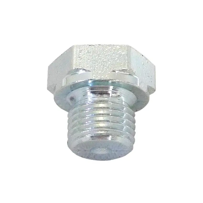 Goodridge 1/8 BSP acier Obturateur