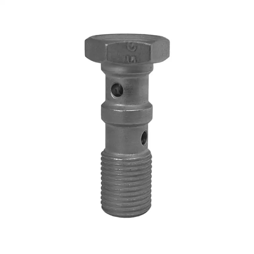 Double boulon de banjo de Goodridge 3/8UNF en acier inoxydable