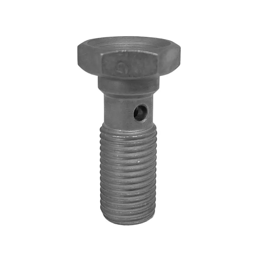 Boulon de banjo de Goodridge 3/8UNF longtemps en acier inoxydable