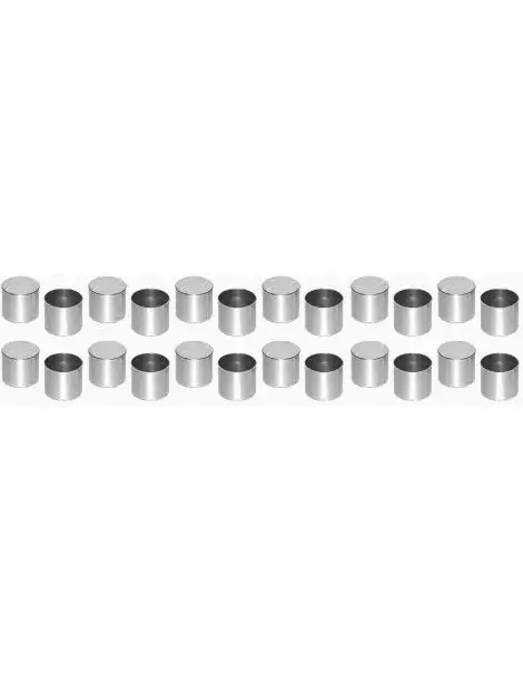 Poussoirs mécaniques BMW E36 E34 M50B20 avec vanos M50B25TU avec vanos