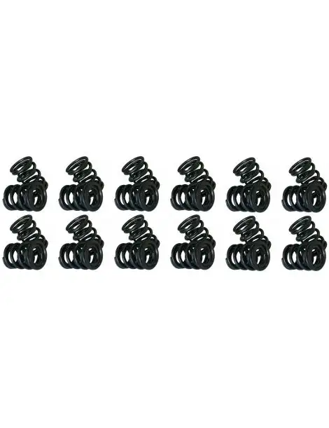 Ressorts soupapes renforcés BMW M5 E34 S38B36 S38B38