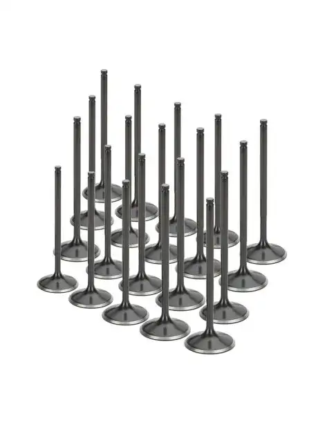 Soupapes admission renforcées BMW M5 E60 M6 E63 S85B50