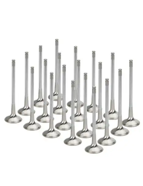 Soupapes échappement renforcées BMW M5 E60 M6 E63 S85B50